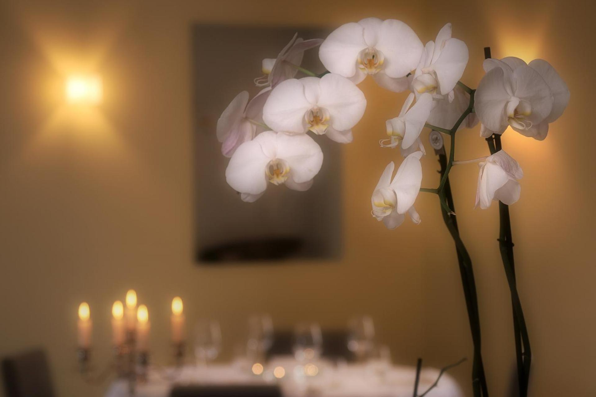 Ristorante Charme Hotel Tre Terre Ponte Brolla ภายนอก รูปภาพ
