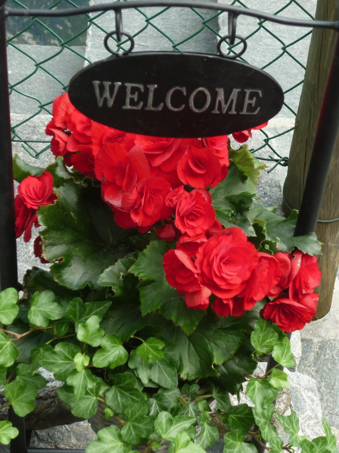 Ristorante Charme Hotel Tre Terre Ponte Brolla ภายนอก รูปภาพ