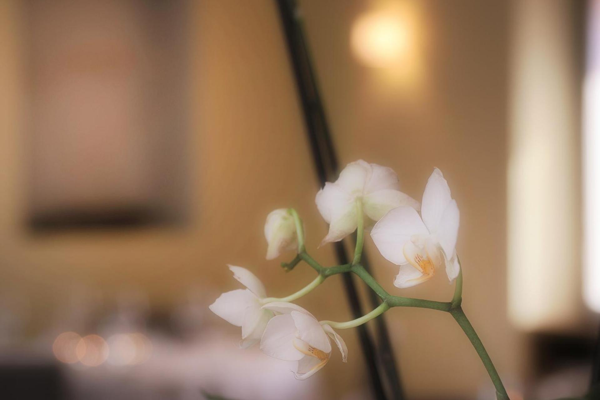 Ristorante Charme Hotel Tre Terre Ponte Brolla ภายนอก รูปภาพ